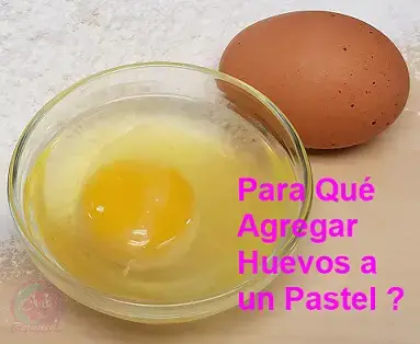 Para Qué se Agregan Huevos a Tortas o Pasteles - Qué Función Tienen ? -  Club de Repostería